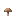 Kahverengi Mantar